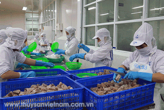 CPTPP: Thủy sản có nhiều cơ hội?