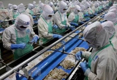 Thủy sản Việt Nam tìm chỗ đứng vững chắc thị trường châu Âu