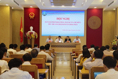  Tìm giải pháp khai thác, bảo quản, chế biến, tiêu thụ sản phẩm hải sản