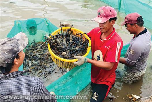 Phấn đấu sản lượng thủy sản quý 2 đạt 2,25 triệu tấn