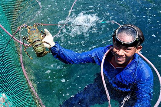 Thủy sản trên đảo Lý Sơn