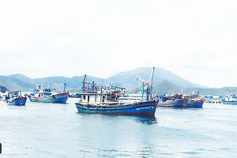 Trách nhiệm phát triển nghề cá bền vững