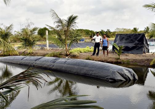 Ứng dụng biogas xử lý chất thải tôm nuôi siêu thâm canh