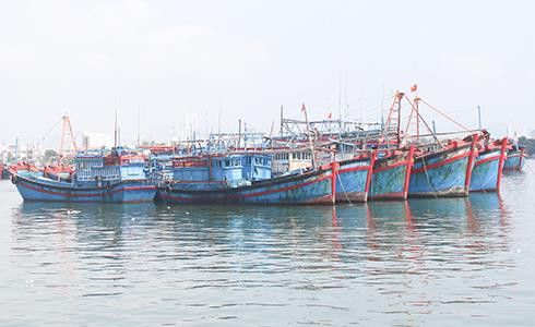 Ưu tiên phát triển đội tàu khai thác xa bờ