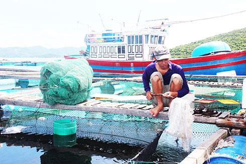 Vạn Ninh: Đề xuất thêm 6 vùng nuôi trồng thủy sản lồng bè