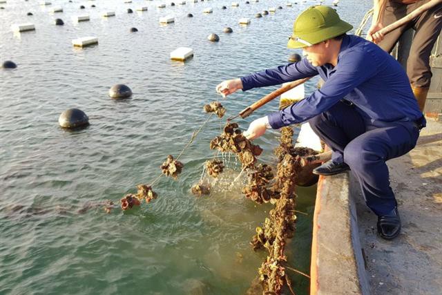 Tổng hợp những việc làm thủy sản cho sinh viên mới ra trường