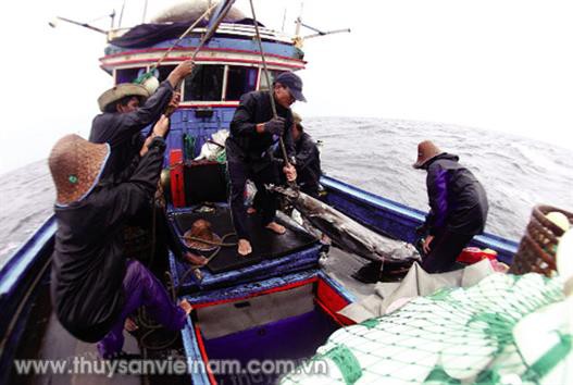 Việt Nam nỗ lực gỡ “thẻ vàng”