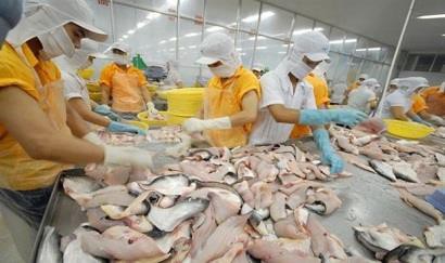 Xuất khẩu cá tra sang thị trường Ba Lan tăng