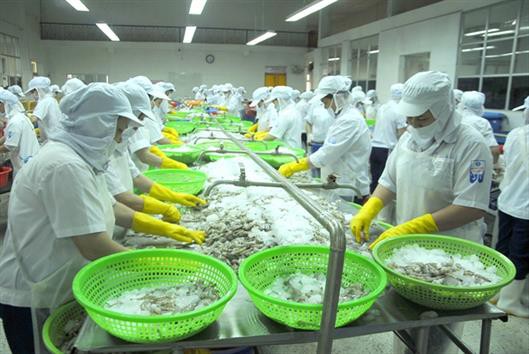 Xuất khẩu tôm 2018 có thể chạm mốc 4 tỷ USD