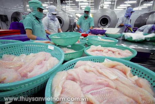Xu hướng tiêu thụ tại châu Âu