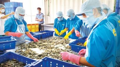 Xuất khẩu thủy sản vào EU: Cơ hội từ cam kết trong EVFTA