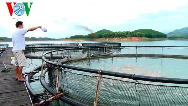 Yên Bái hỗ trợ người dân nuôi trồng thủy sản
