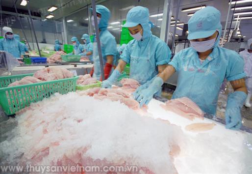 Mỹ hoãn việc đánh giá an toàn thực phẩm cá tra Việt Nam