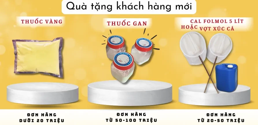 Cá Giống Trường Phát