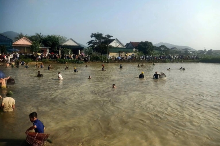 Hàng trăm người lao xuống ao bắt cá sau hiệu lệnh