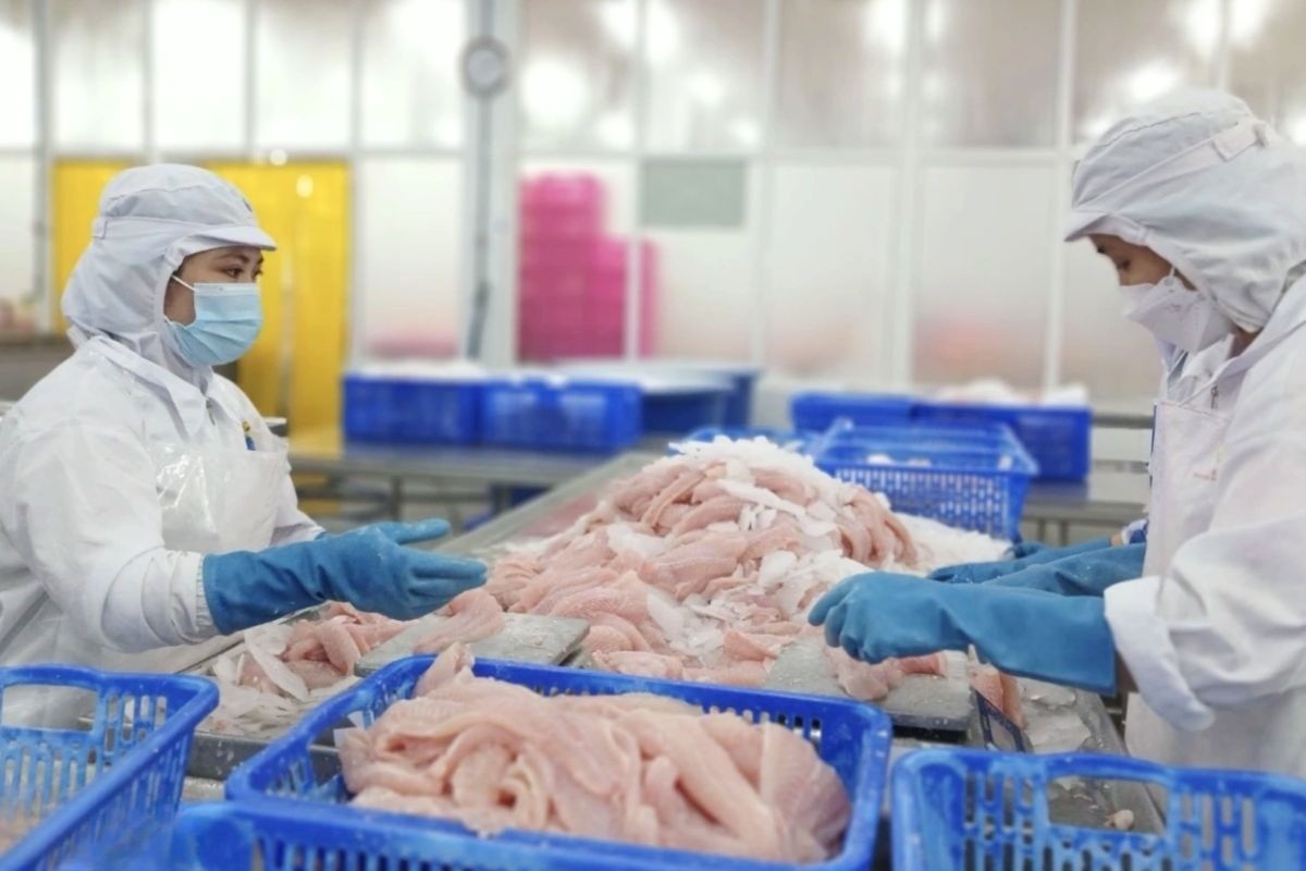 Doanh nghiệp chế biến thủy sản chính thức được hưởng ưu đãi miễn thuế thu nhập