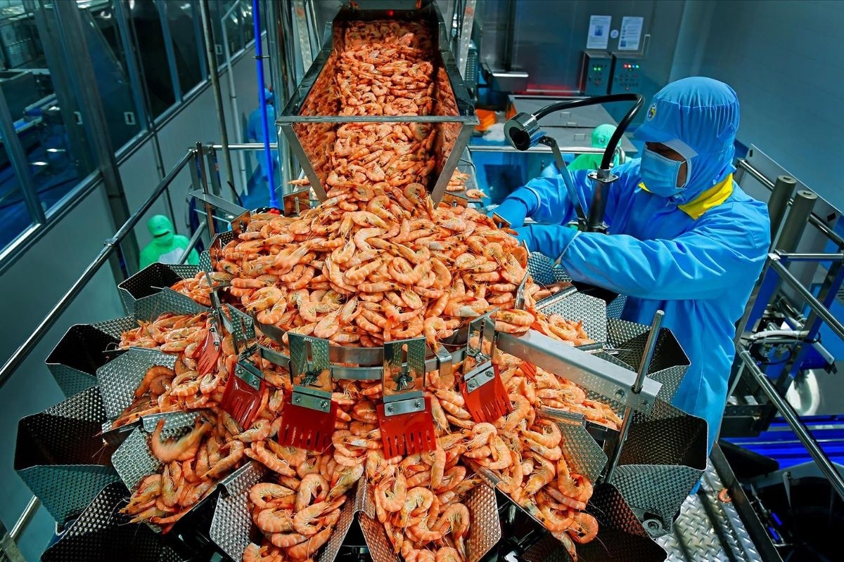 Động cơ tăng tốc của thủy sản Việt Nam dưới tầm nhìn Nghị quyết 57