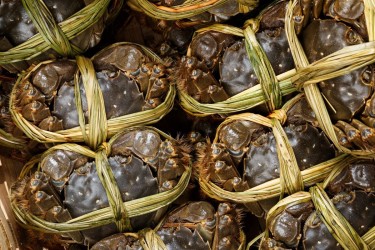 Cua lông Trung Quốc giá rẻ tràn chợ Việt