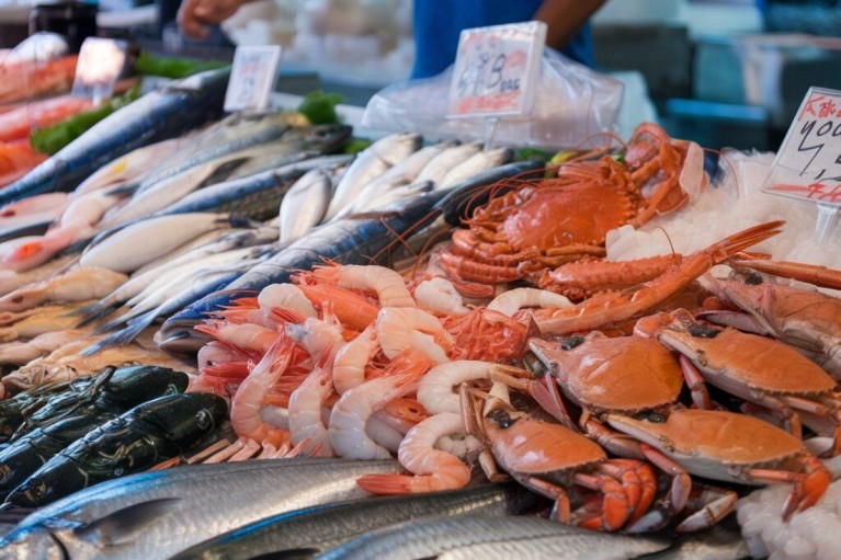 Mỏ vàng dưới nước: Thị trường nào đang mua thủy sản Việt Nam mạnh nhất?