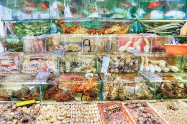 Trung Quốc nối lại nhập khẩu thủy sản Nhật Bản