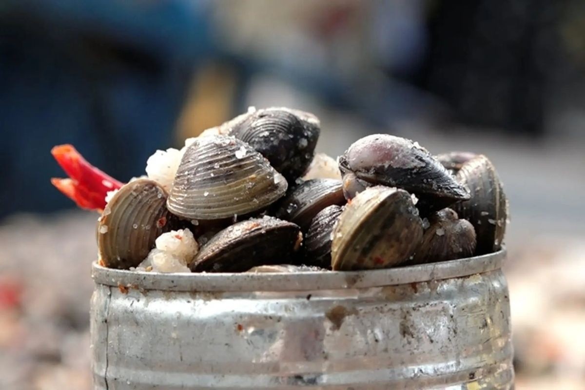 Hến phơi muối ớt: Đặc sản dân dã của “xứ sở thần tiên” An Giang