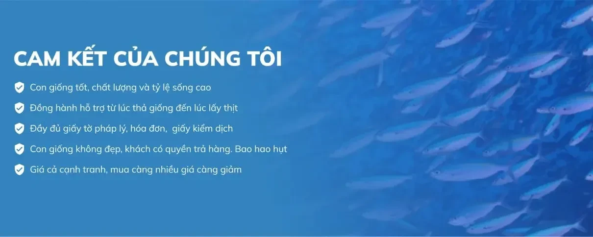 Cá Giống Trường Phát