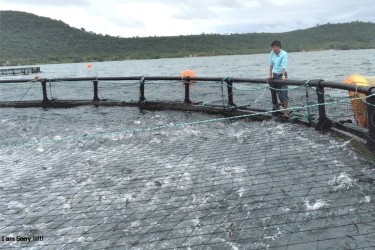 Nuôi trồng thủy sản theo phương pháp tiết kiệm chi phí: Hướng đi bền vững cho nông dân