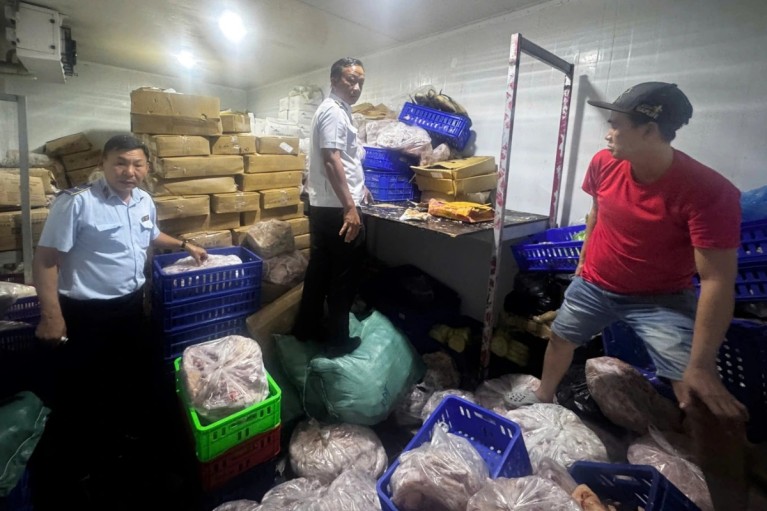 Phát hiện hơn 700kg cá, thịt đông lạnh không rõ nguồn gốc ở TPHCM