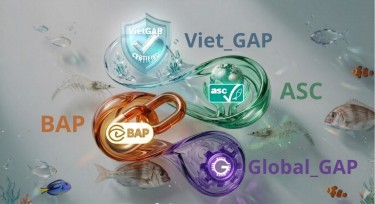 Chứng nhận thủy sản: Khi tấm vé vào cửa trở thành rào cản của chính người nuôi