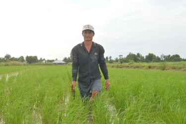 Tôm-lúa: Chìa khóa đổi đời của nông dân vùng đất khó An Giang