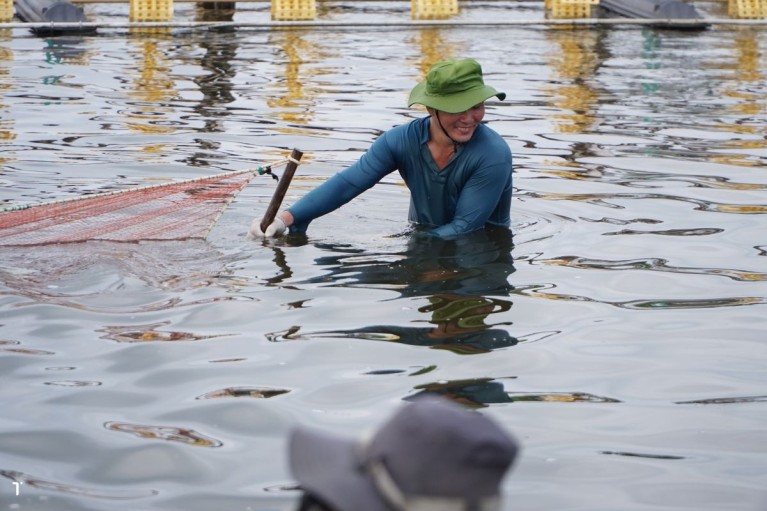 Kiểm chứng các kinh nghiệm truyền miệng trong ngành nuôi tôm