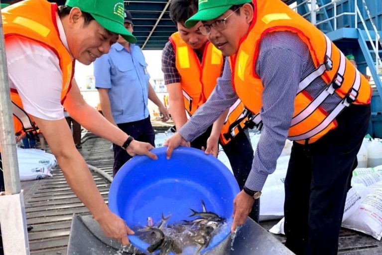 Hơn 215.000 con cá giống quý hiếm được thả về sông Cửu Long