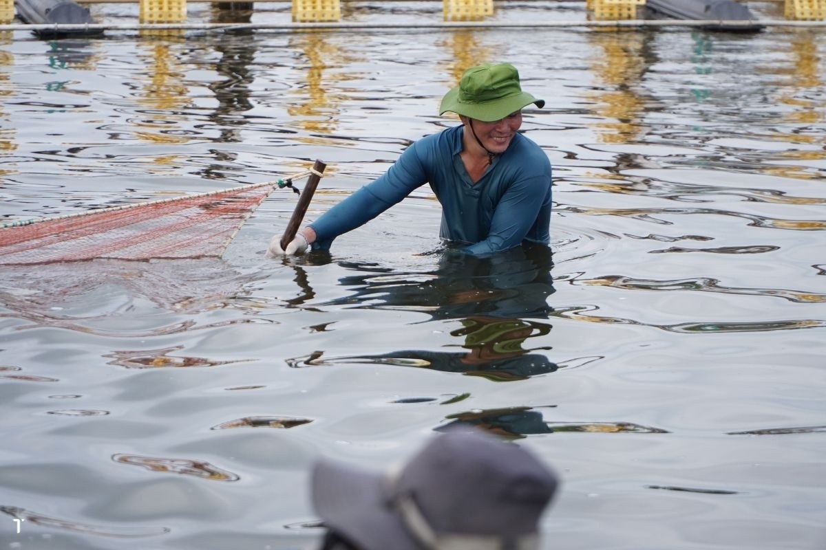 Biện pháp đảm bảo an toàn cho ao nuôi tôm trong dịp Tết Nguyên Đán