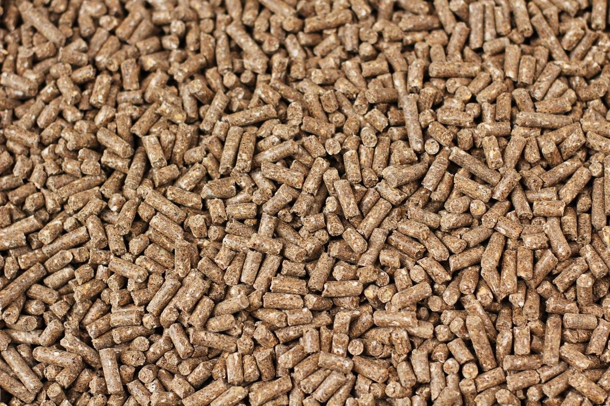 Thức ăn tiêu chuẩn ASC phải không phá rừng