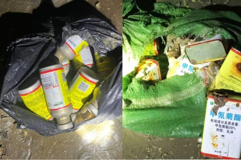 Quảng Ninh truy tìm nguồn hóa chất lạ gây ra thủy sản chết trắng ven biển