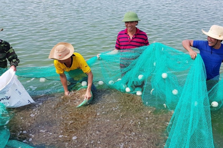 Ứng phó giá nhiên liệu tăng gây áp lực lên nuôi trồng thủy sản