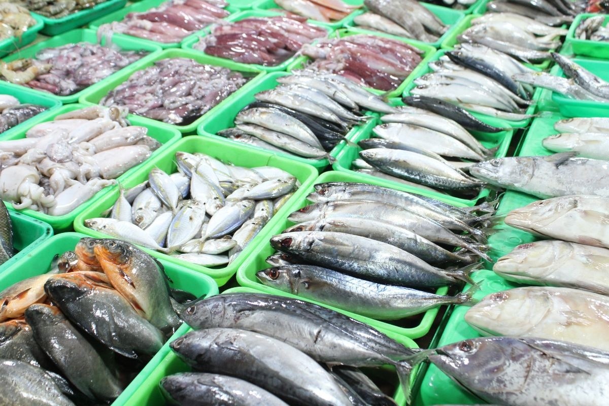 Công nghệ giám sát chất lượng thủy sản bán lẻ