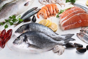 Đâu là yếu tố quyết định phân khúc cao cấp cho ngành thủy sản?