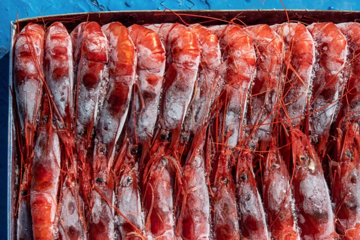 1.852 container tôm Indonesia quay lại thị trường Mỹ sau bê bối nhiễm phóng xạ