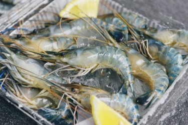 Nhìn lại xuất khẩu thủy sản 10 tháng đạt 9,5 tỷ USD, tôm hùm và cá rô phi là điểm sáng