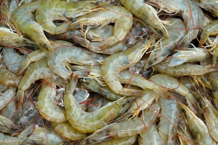 Cuộc đổi ngôi ngoạn mục của các thị trường xuất khẩu thủy sản năm 2025