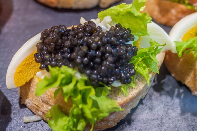 1/3 trứng cá tầm thế giới đến từ một công ty Trung Quốc