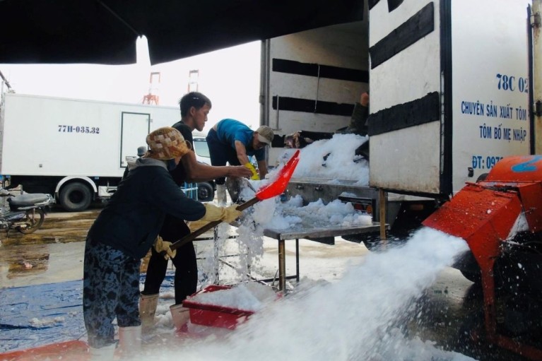 Gia Lai chuyển đổi nghề, giải bản tàu cá: Giải pháp căn cơ cho sinh kế ngư dân