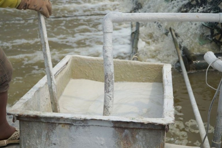 Cách phân biệt và sử dụng đúng một số loại vôi trong nuôi trồng thủy sản