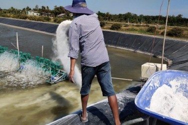 Vôi nông nghiệp và vôi công nghiệp: Khác nhau ở đâu và vì sao không nên dùng lẫn?