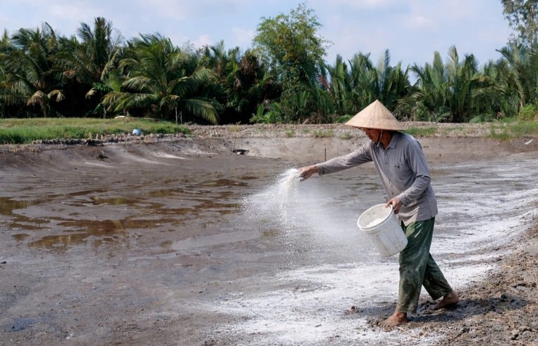“Căng mình” giữ vuông tôm mùa nắng nóng